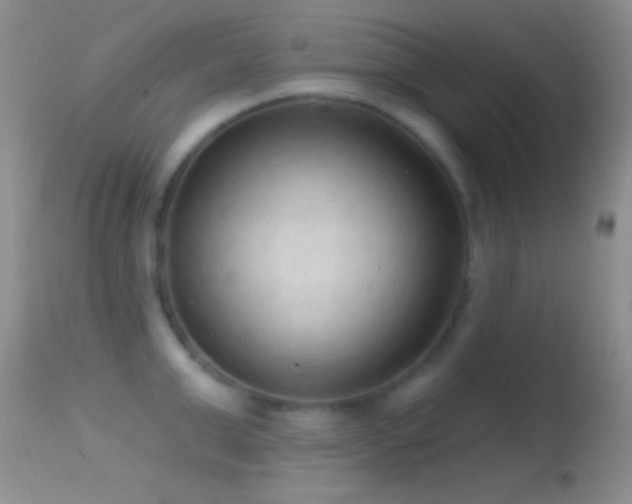 X0000114630999200910201416