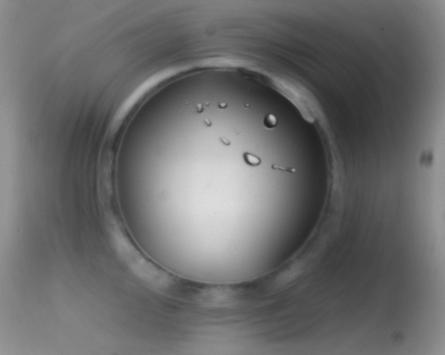 X0000114631000200910201416