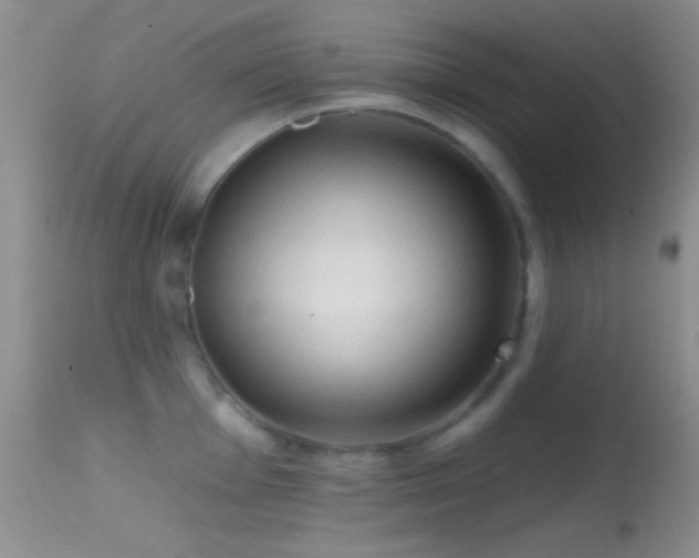 X0000114631001200910201416