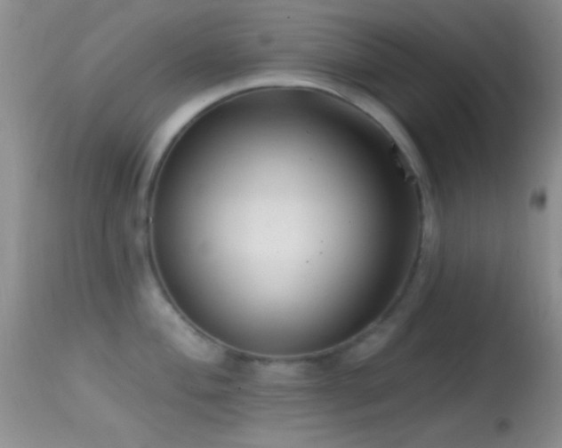 X0000114631004200910201416