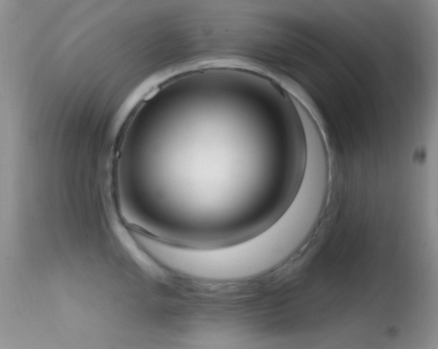 X0000114631005200910201416