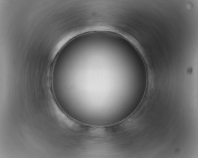 X0000114631006200910201415