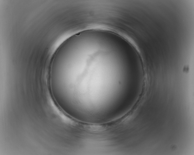 X0000114631007200910201415