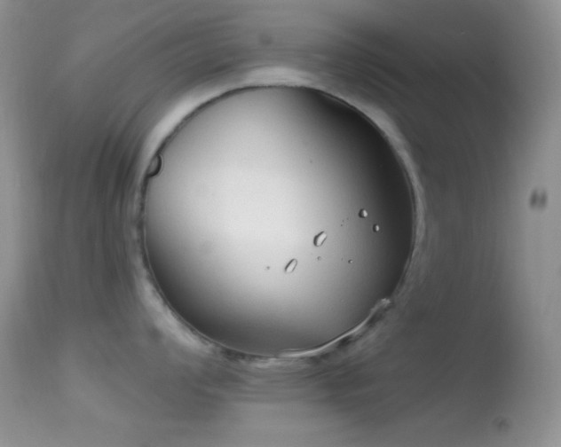 X0000114631008200910201415