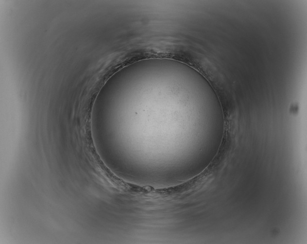 X0000114631009200910201415