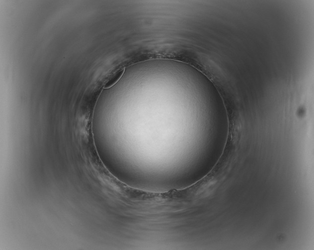 X0000114631010200910201415