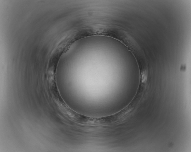 X0000114631011200910201415