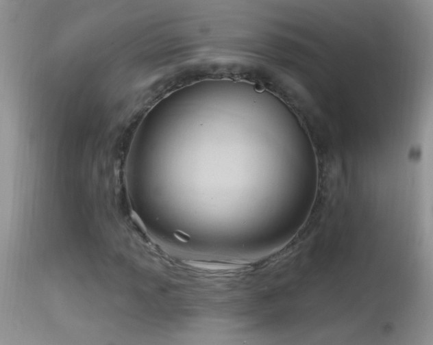 X0000114631013200910201415