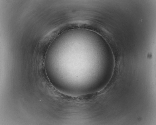 X0000114631014200910201415