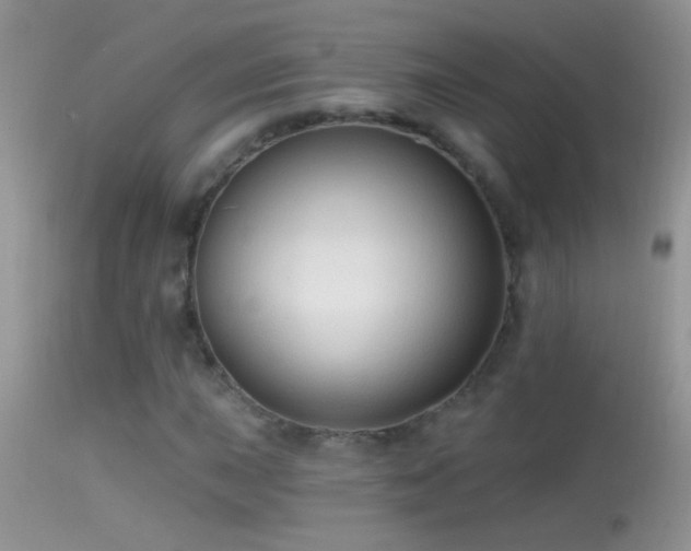 X0000114631015200910201415