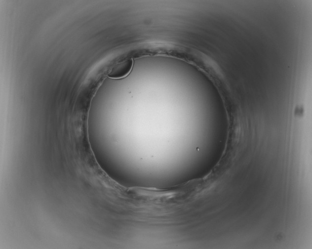 X0000114631016200910201415