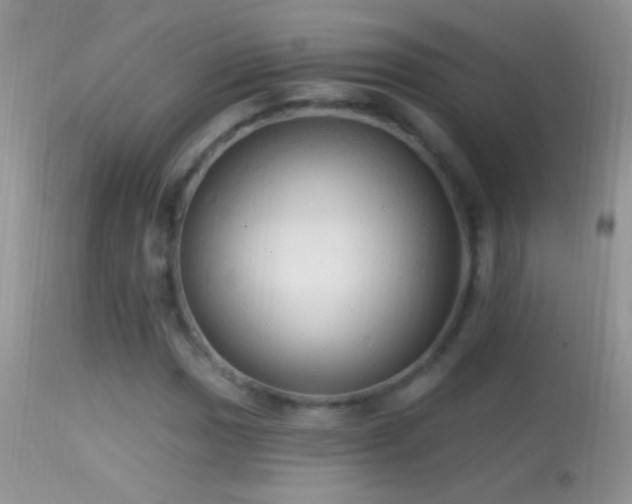 X0000114631017200910201415