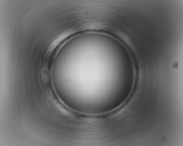 X0000114631018200910201415