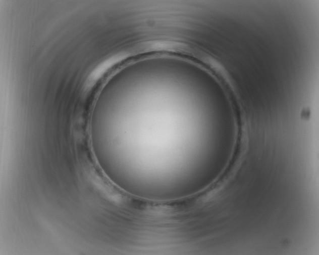 X0000114631019200910201415