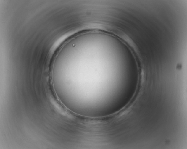 X0000114631020200910201415