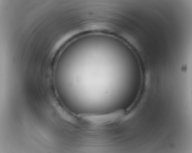 X0000114631021200910201415