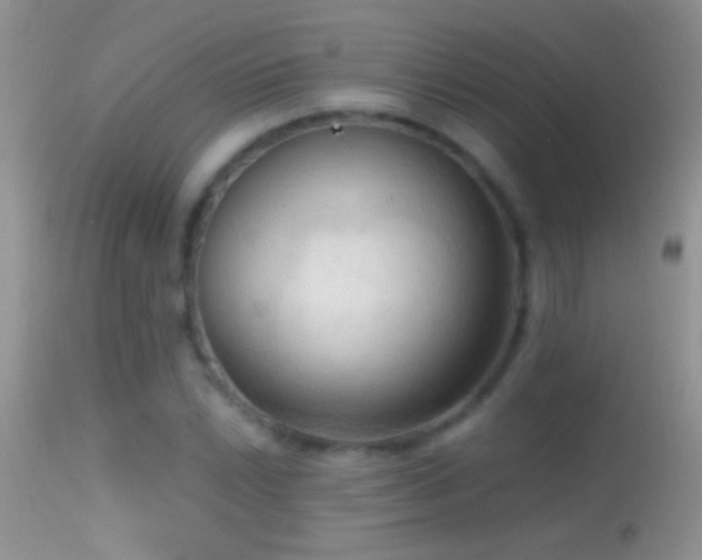 X0000114631022200910201415