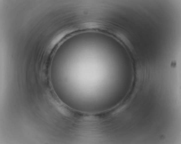 X0000114631023200910201415