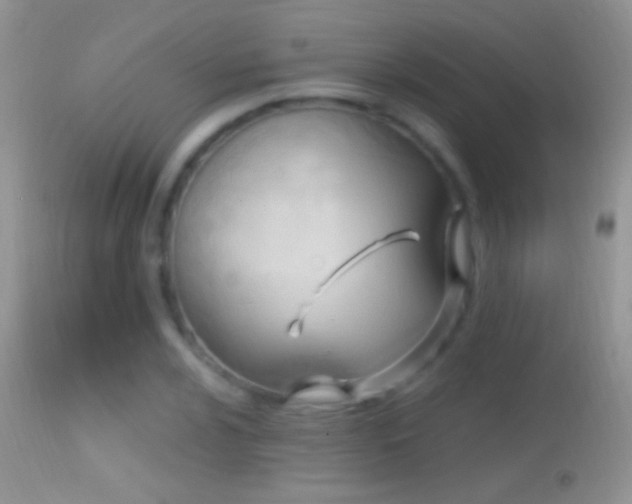 X0000114631024200910201415