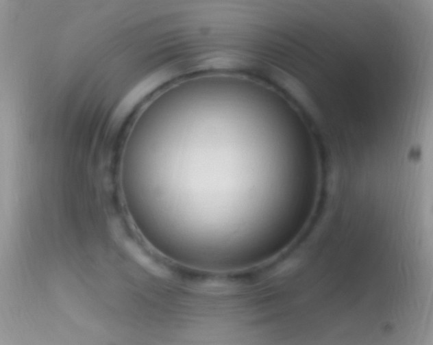 X0000114631026200910201415