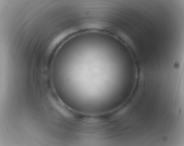 X0000114631027200910201415