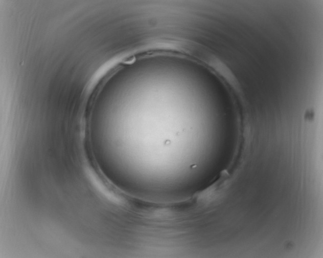 X0000114631028200910201415