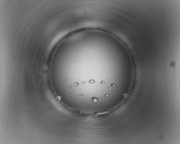 X0000114631029200910201415