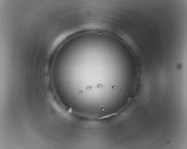 X0000114631030200910201415