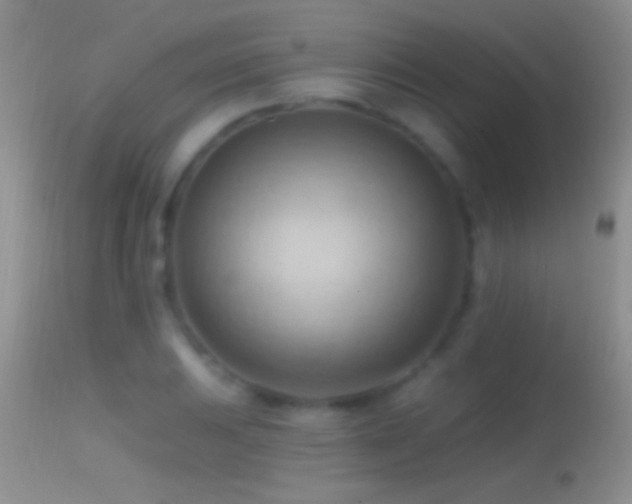 X0000114631031200910201415