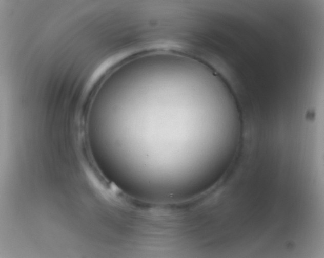 X0000114631032200910201415