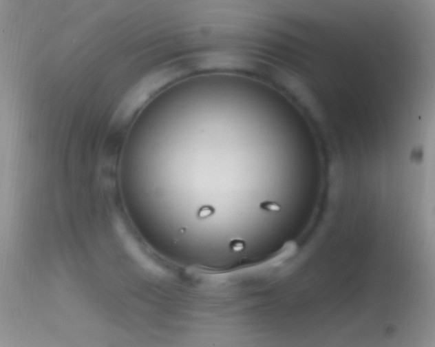 X0000114631033200910201415