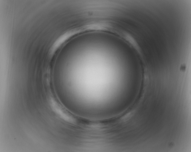 X0000114631035200910201415