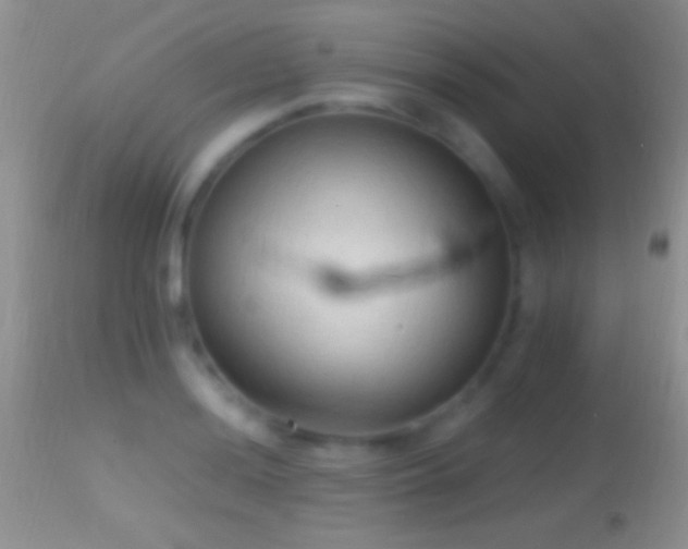 X0000114631036200910201415