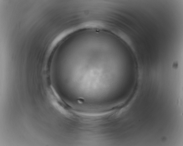 X0000114631037200910201415