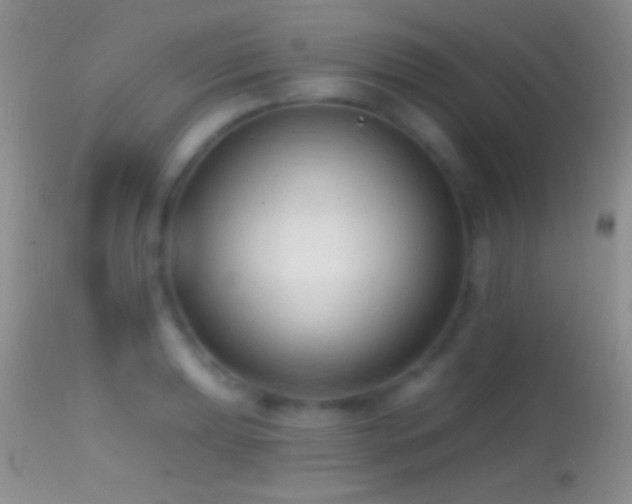 X0000114631039200910201415