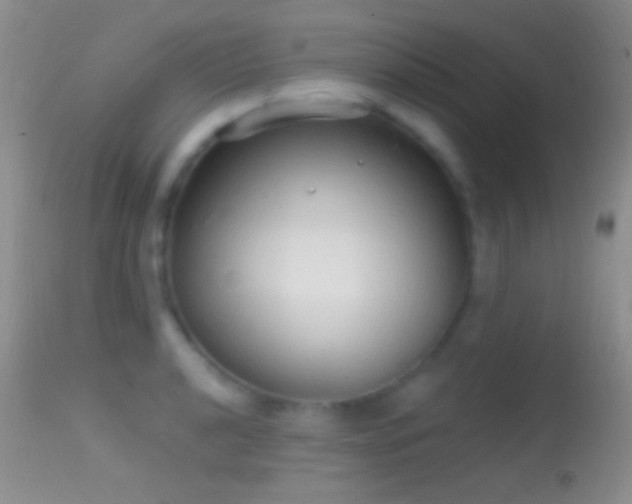 X0000114631040200910201415