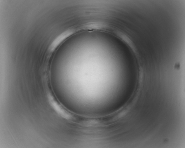 X0000114631042200910201415