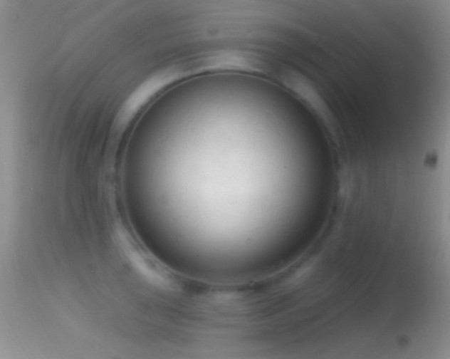 X0000114631043200910201415