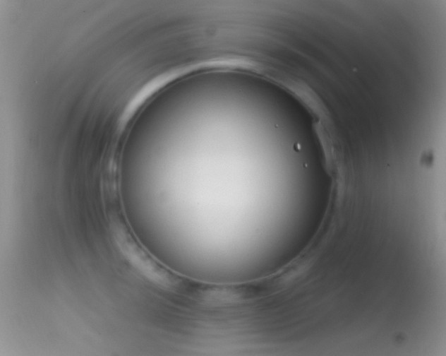 X0000114631044200910201415