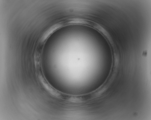 X0000114631049200910201415