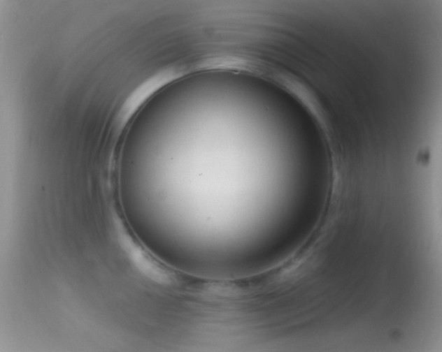 X0000114631050200910201415