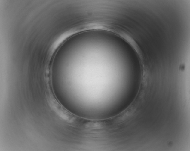 X0000114631051200910201415