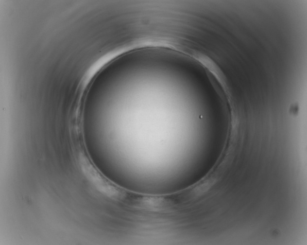 X0000114631052200910201415