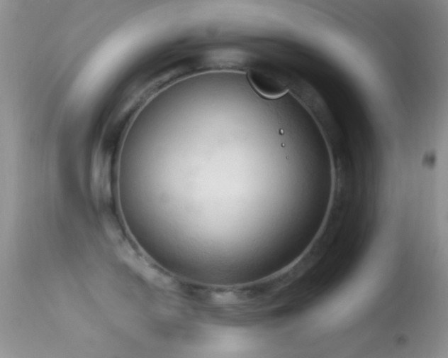 X0000114631054200910201415