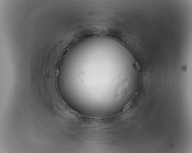 X0000114631057200910201415