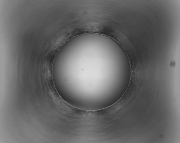 X0000114631058200910201415