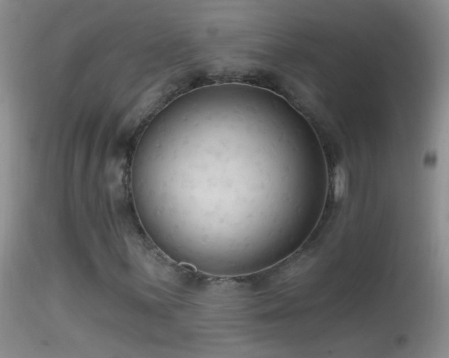 X0000114631059200910201415