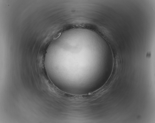 X0000114631060200910201415