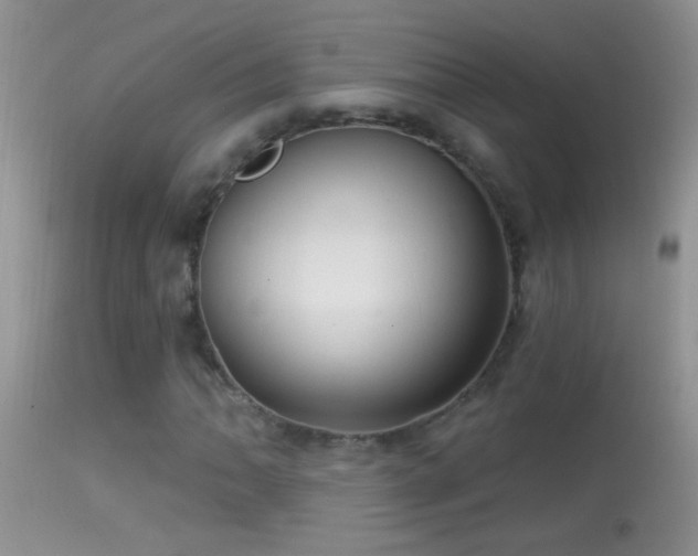 X0000114631062200910201415