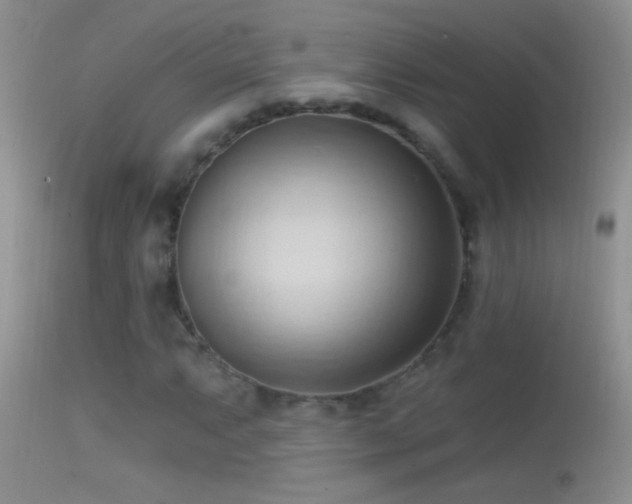 X0000114631063200910201415